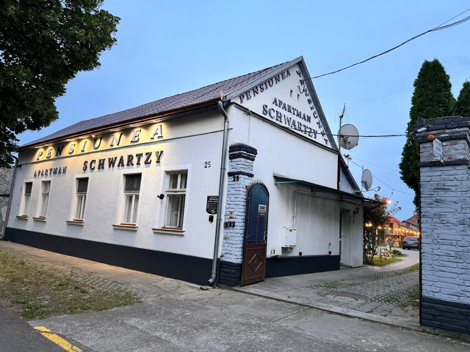 Makó Pensiunea Schwartzy酒店 外观 照片